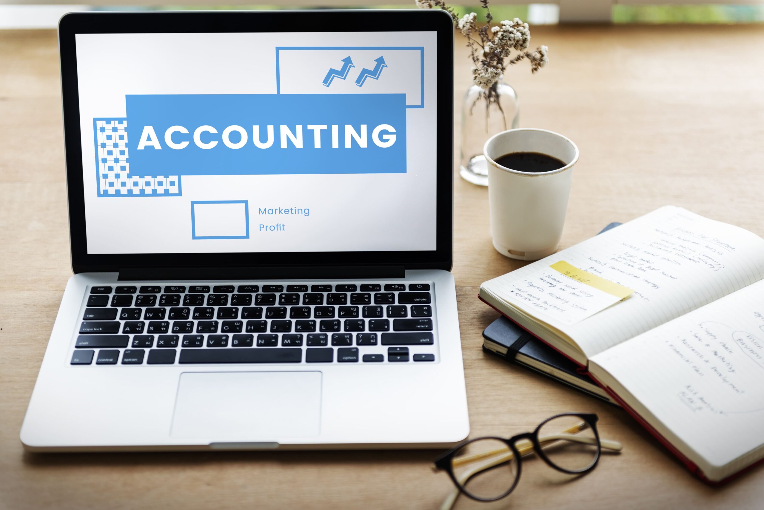 Accounting software